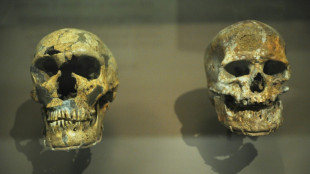 Un hueso de homo sapiens encontrado en una cueva de neandertales
