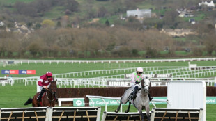 Lossiemouth in 'league of her own' as she wins Champion Hurdle