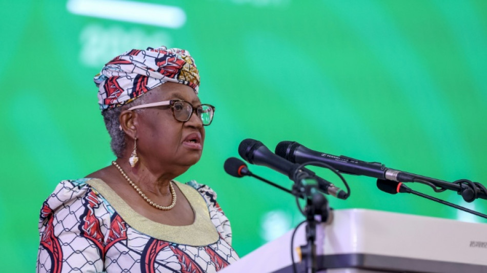 Global trading system hit by 'worst disruptions in the past 80 years': WTO chief