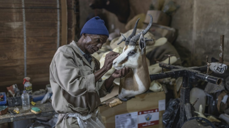 Los taxidermistas de Sud&aacute;frica, amenazados por las posibles restricciones en Europa