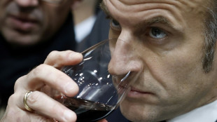 Macron backs ripping up vines as French wine sales dive
