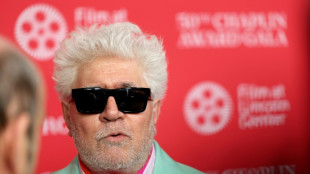 Des stars du cinéma, dont Pedro Almodovar et Richard Gere, dénoncent dans une tribune le "silence" face au "génocide" à Gaza