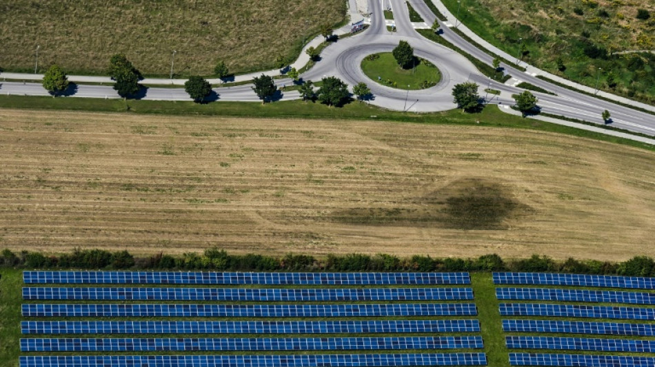 Regierung will mehr Photovoltaik-Anlagen auf Ackerflächen