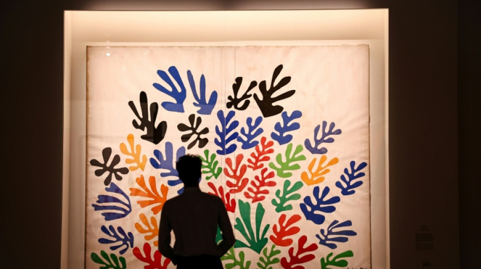 Matisse's last years cut out -- but not pasted -- at Paris expo