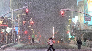 Schneesturm trifft US-Ostk&uuml;ste - New Yorks B&uuml;rgermeister l&auml;sst Verkehr sperren