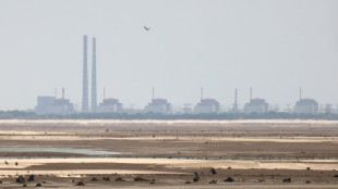 IAEA: Drohne rei&szlig;t Loch in Maschinenraum von ukrainischem Akw Saporischschja