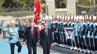 Canad&aacute; y Turqu&iacute;a abren conversaciones sobre un tratado de libre comercio 