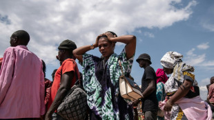 UN Security Council votes to extend DR Congo mission&nbsp;by one year