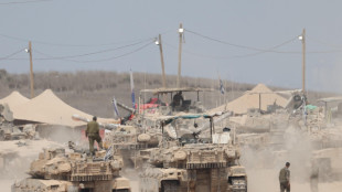 Consiglio d'Europa, 'non autorizzare invio d'armi a Israele'