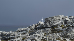 Argentina files lawsuit against oil firms operating off Falklands