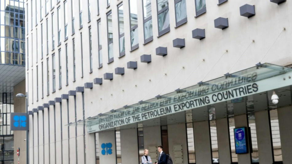 OPEC+ likely to maintain current output levels