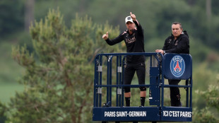 Luis Enrique promete PSG com 'potência máxima' na final da Champions