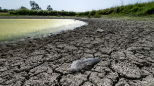 S&eacute;cheresse : 90 d&eacute;partements plac&eacute;s en &eacute;tat d'alerte