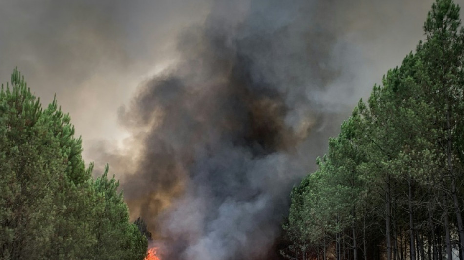 Reprises d'incendies pr&egrave;s de Landiras, en Gironde: 6.000 hectares br&ucirc;l&eacute;s