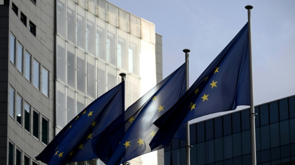 Vigilance environnementale des grandes entreprises: l'UE reporte encore la loi, en 2029