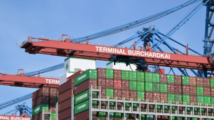 Umfrage: Deutsche Exporteure sehen immer mehr Handelshemmnisse