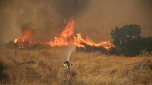 Gr&egrave;ce: les pompiers toujours &agrave; la lutte contre les flammes au nord-ouest d'Ath&egrave;nes