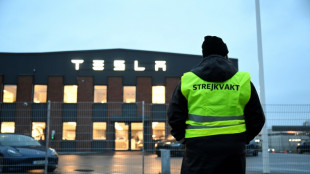 Swedish insurer drops $160 mn Tesla stake over labour rights