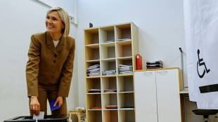 Iceland votes 'No' to resuming EU talks