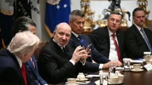 US commerce chief admits Epstein Island lunch but denies closer ties