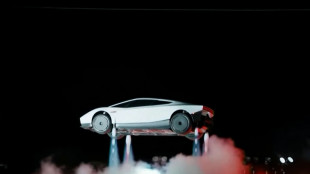 Elon Musk unveils Tesla's 'flying' car