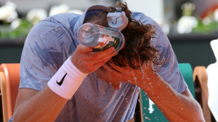 Roland-Garros: abandonn&eacute; par son corps, le grand favori Sinner d&eacute;j&agrave; &agrave; terre
