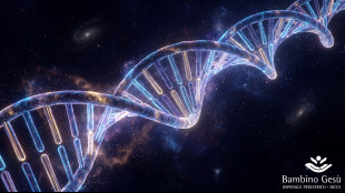 Cure mirate e diagnosi 'impossibili', il Bambino Gesù all'avanguardia nella genetica