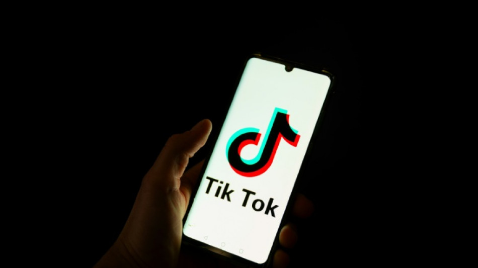 Arrestan a 15 personas en Pa&iacute;ses Bajos acusadas de "incitaci&oacute;n al terrorismo" en TikTok