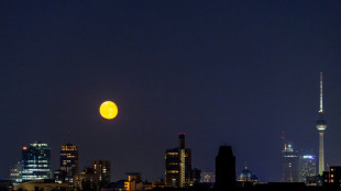 European Sleeper nimmt neuen Nachtzug zwischen Berlin und Paris in Betrieb