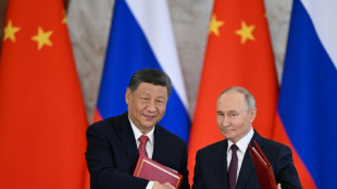 Russland und China nennen US-Pläne für Raketenabwehrschirm "destabilisierend"