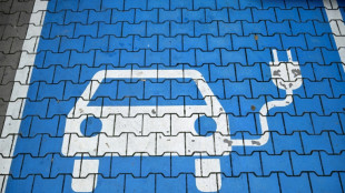E-Auto-Boom im September: Anteil an Neuzulassungen steigt auf mehr als ein Drittel