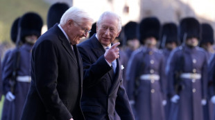 Seltene Ehre: Steinmeier hält Rede vor britischem Parlament