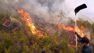 Studie: Risiko von Hitzewellen wie zuletzt in Spanien durch Klimawandel vervierzigfacht