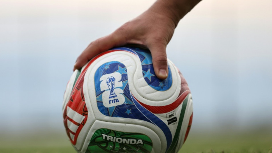 Tierorakel zu Fu&szlig;ballweltmeisterschaft vor erstem Deutschland-Spiel uneins