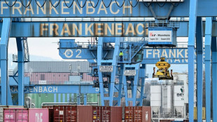 La econom&iacute;a alemana se anot&oacute; un t&iacute;mido crecimiento en 2025