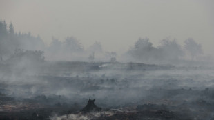 Drohende Gesundheitsgefahr durch Brand im Hohen Venn f&uuml;r Anwohner