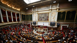 Budget: un quatri&egrave;me 49.3 attendu dans les prochains jours