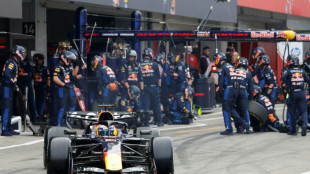 Engenheiro de corrida de Verstappen deixar&aacute; Red Bull no final de 2027