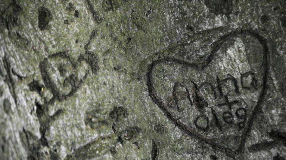 Studie: Jugendliche warten l&auml;nger mit erstem Sex