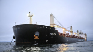 Câble endommagé en mer Baltique: un navire bulgare saisi