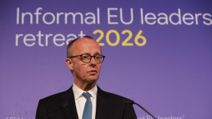 Merz, 'non posso acconsentire agli eurobond'