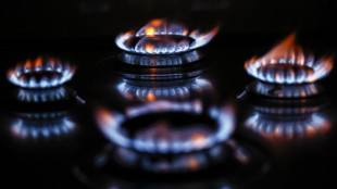 In rialzo l'indice del gas italiano a 36,32 euro a MWh