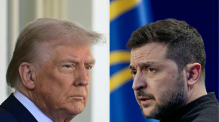Zelensky en Floride pour plaider la cause de l'Ukraine aupr&egrave;s de Trump