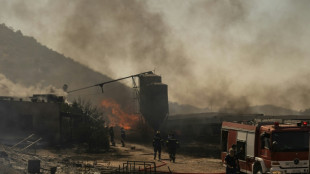 Grecia lucha contra un nuevo incendio cerca de Atenas avivado por fuertes vientos