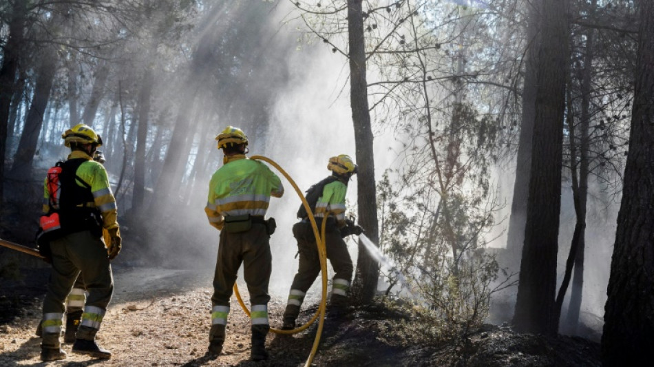 Le nord de l'Espagne ravag&eacute; par une centaine d'incendies criminels