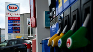 Le gazole d&eacute;passe 2 euros le litre dans l'Hexagone
