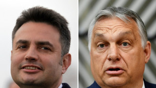 Jour de vote en Hongrie, Orban en qu&ecirc;te d'un quatri&egrave;me mandat