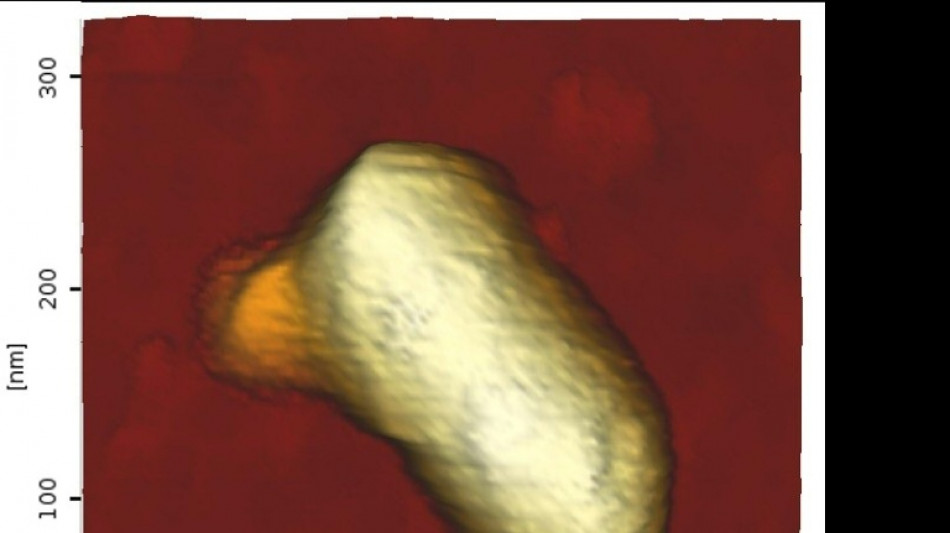 Passagers clandestins, des virus voyagent &agrave; l'int&eacute;rieur d'autres virus