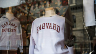 Empörung nach Verbot für ausländische Studenten an Harvard-Universität in den USA
