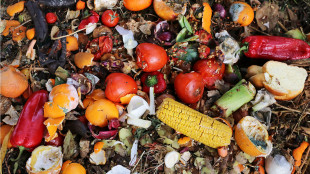 Stop allo spreco, il decalogo Iss per salvare il cibo